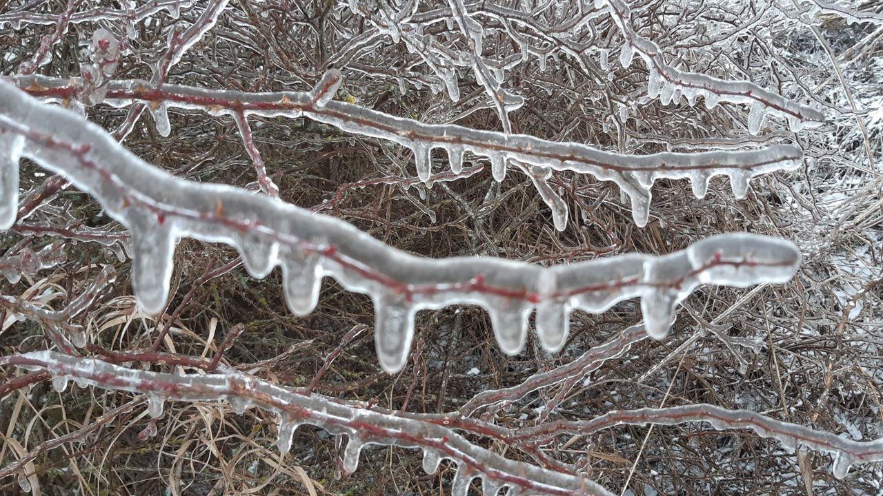 Eisgestalten Eisgestalten